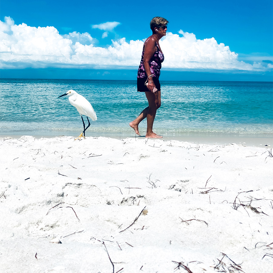 Woman in her 70s in shorts and top with earplugs and cell phone in her hand, walking past a white stork on a sandbeach in sunny and warm west coast of Florida