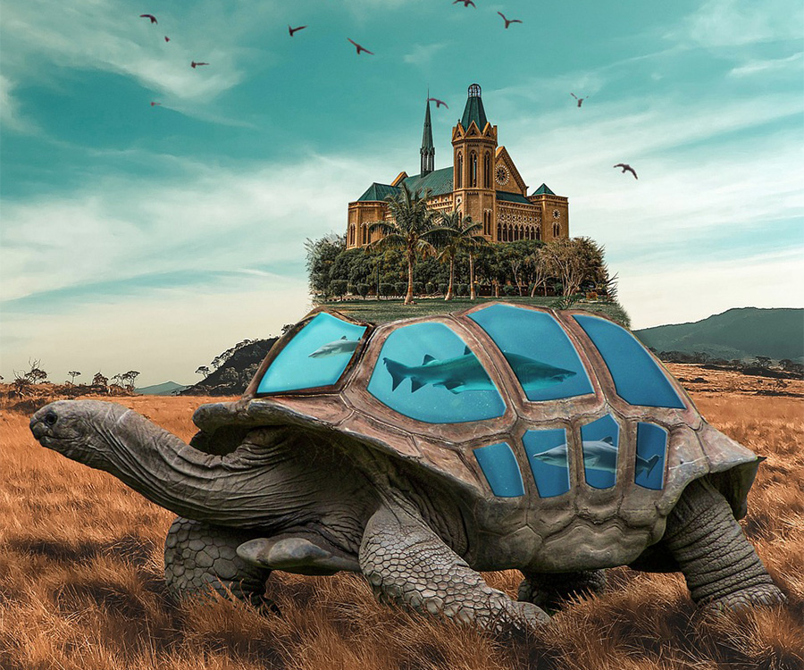 Loaded Turtle UK